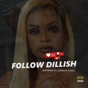 Cover art for "follow dillish"