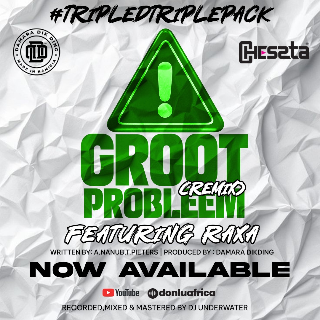 Groot probleem remix