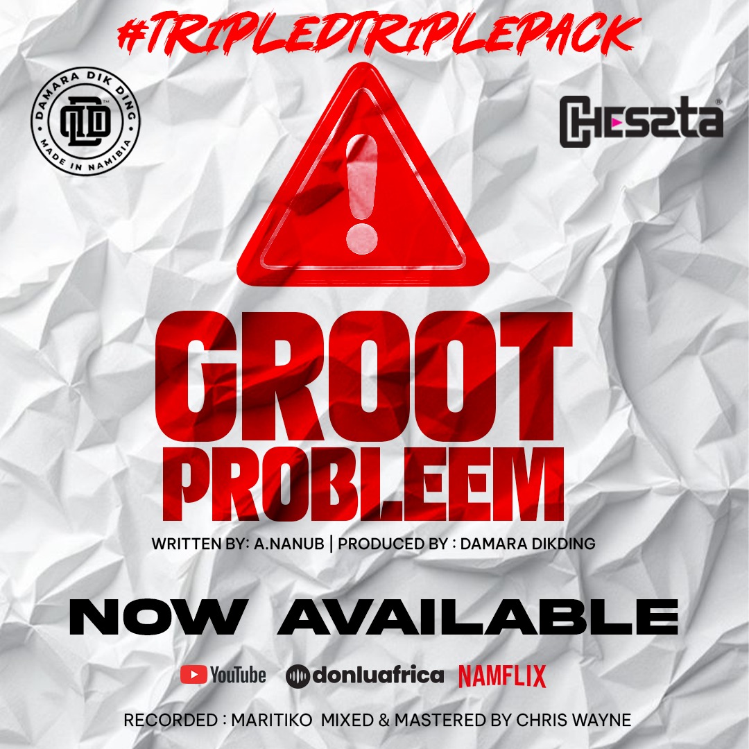 Groot probleem artwork
